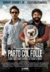Parto col folle  - Trama, Trailer e Locandina