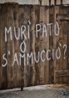 La scomparsa di Pat�- Trama, Trailer e Locandina
