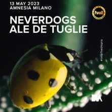 Dj Neverdogs Sabato 13 Maggio 2023 Amnesia