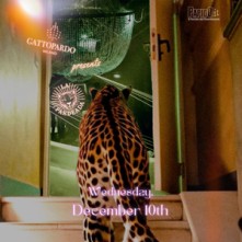 Mercoledi Sera Gattopardo