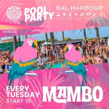 Martedi Bal Harbour San Teodoro