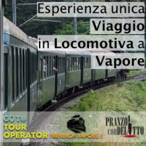  Treno a Vapore