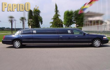 Foto Limousine Blu 5 Porte