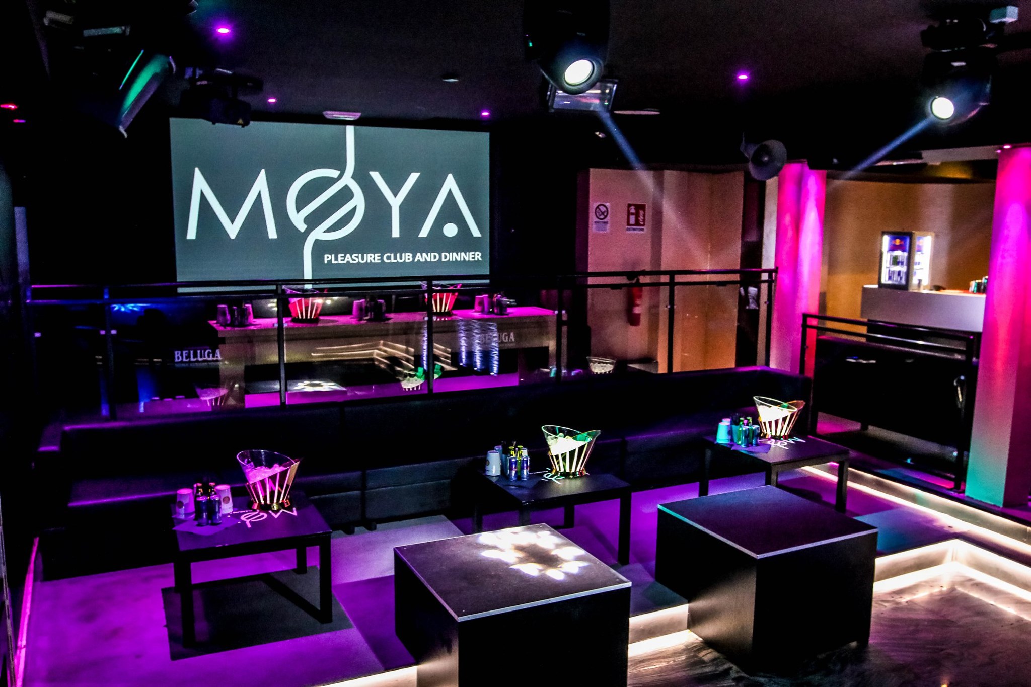 Moya Pleasure Club Disco Restaurant nasce a Torino.
